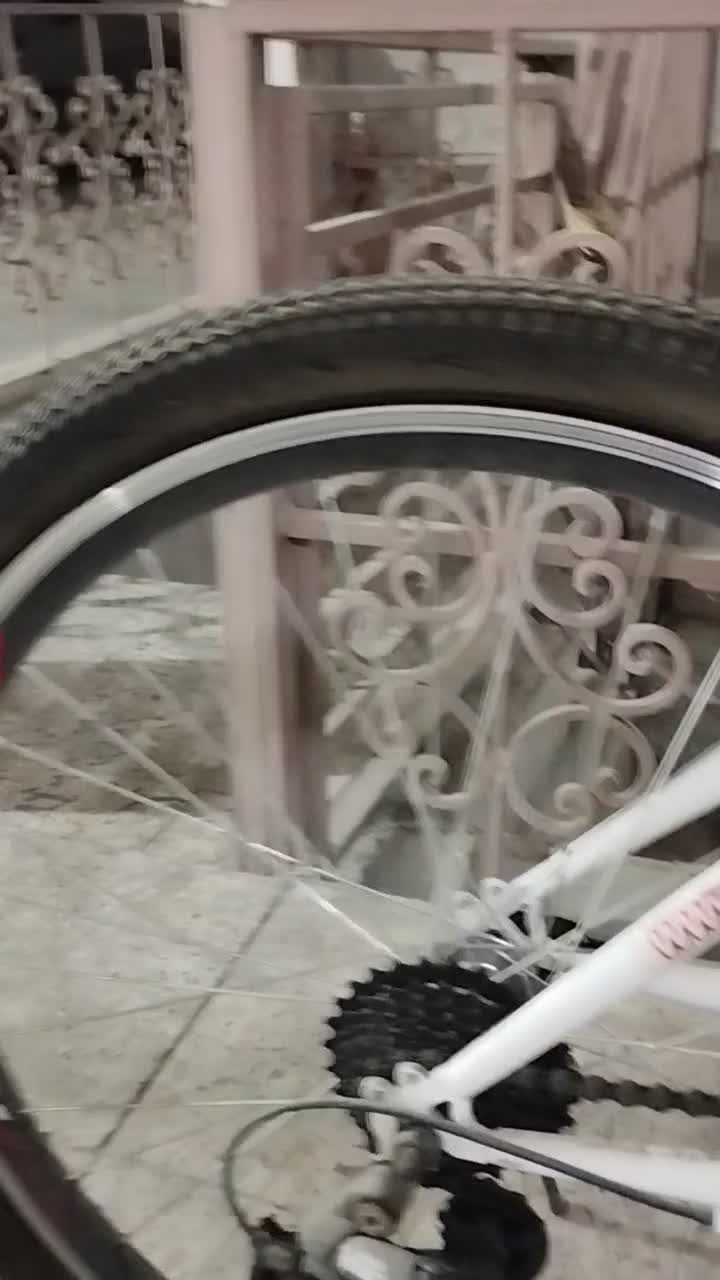 دوچرخه ویوا اصل|دوچرخه، اسکیت، اسکوتر|فردیس, فردیس|دیوار