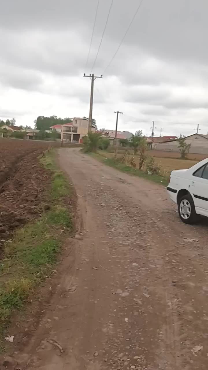 فروش زمین باغی مخصوص گلخونه وکاشت صنوبرجاده کیاشهر|فروش زمین و ملک کلنگی|کیاشهر, |دیوار