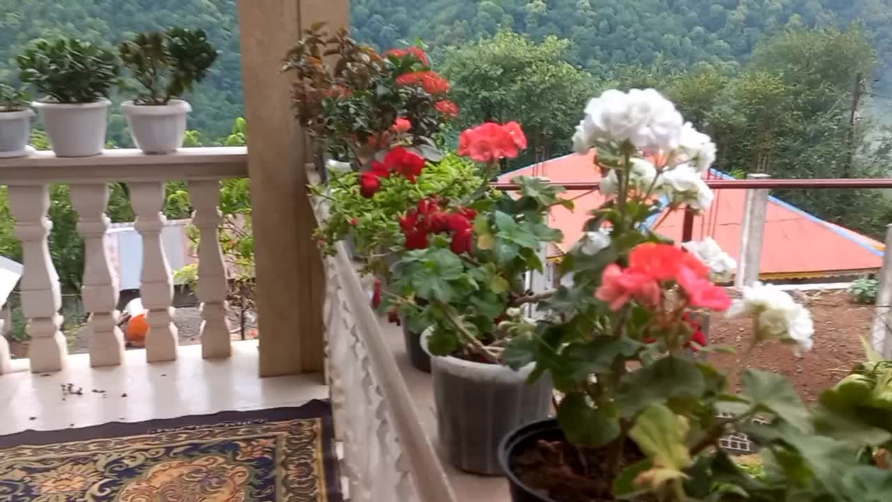 اجاره روزانه ویلا در تالش در روستا تنگاب|اجارهٔ کوتاه‌مدت ویلا و باغ|تالش, تالش|دیوار
