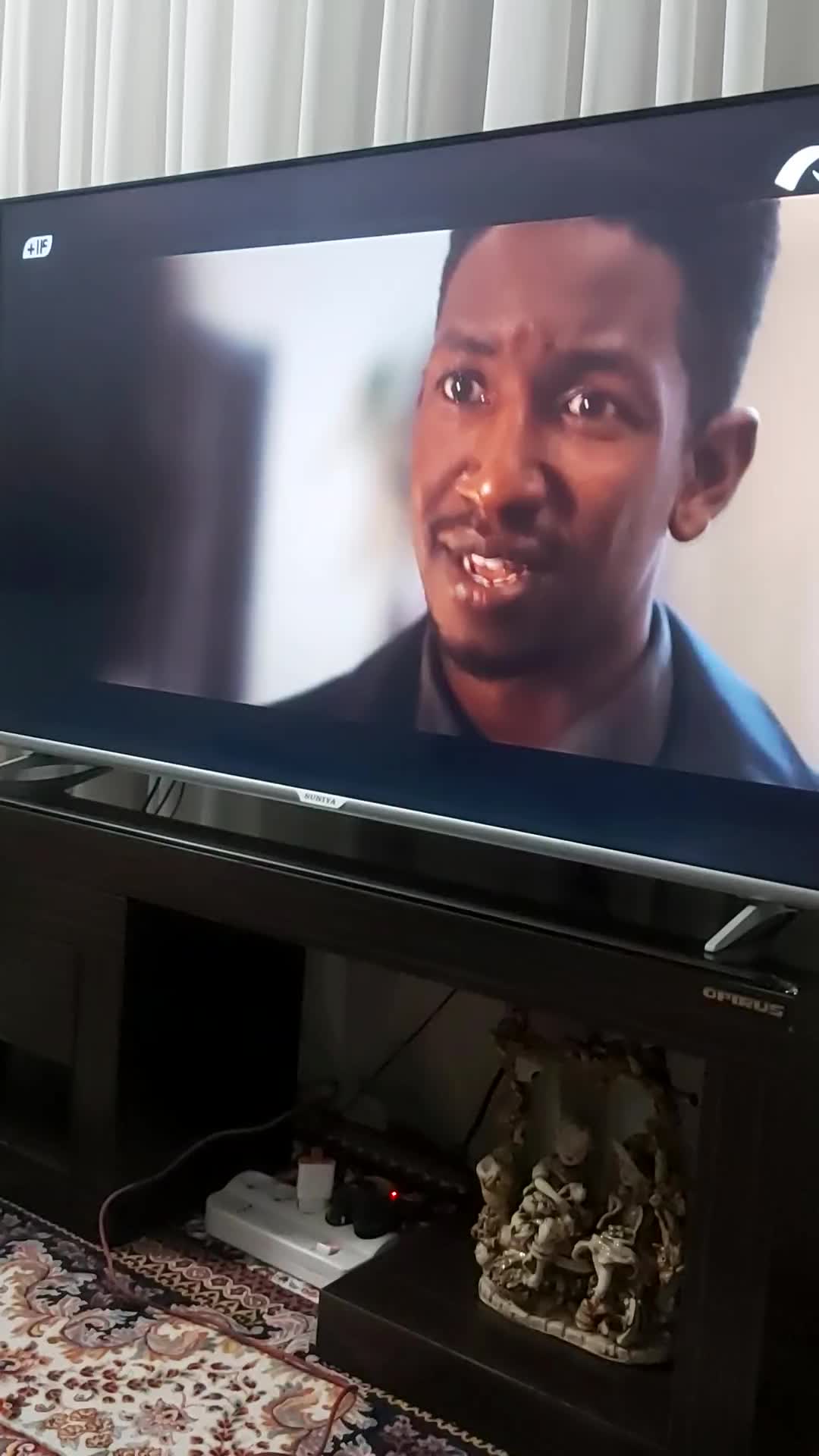 فرش۱۲متری|فرش|گلبهار, شهر جدید گلبهار|دیوار