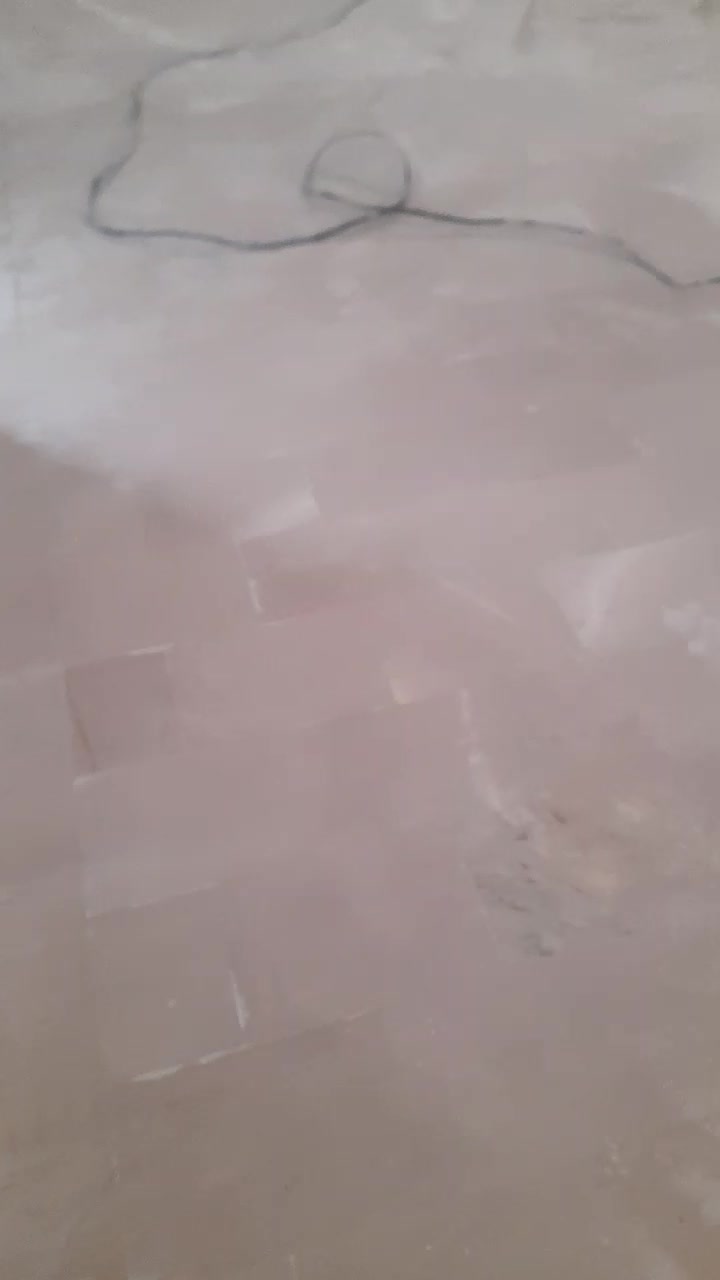 کف سابی. کفصابی. کف صاب|خدمات نظافت|بندر کنگان, |دیوار