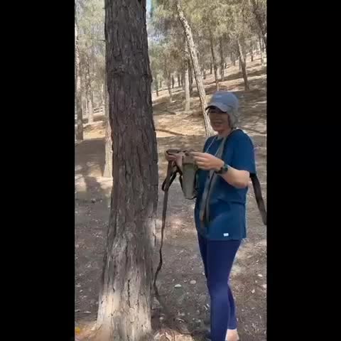 ننوی دو نفره یابیشتر با تسمه و شکل (shackle)|کوهنوردی و کمپینگ|تهران, امانیه|دیوار