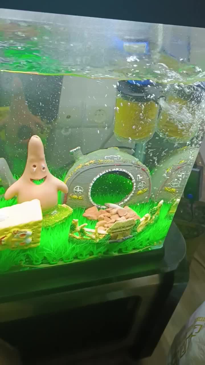 آکواریوم سالم در حد نو|ماهی|کومله, |دیوار