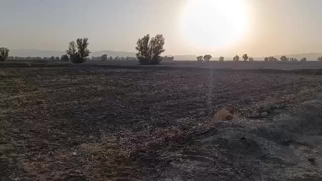 فروش یک شبانه روز آب و زمین و پسته نهبندان|فروش دفتر صنعتی، کشاورزی، تجاری|نهبندان, |دیوار