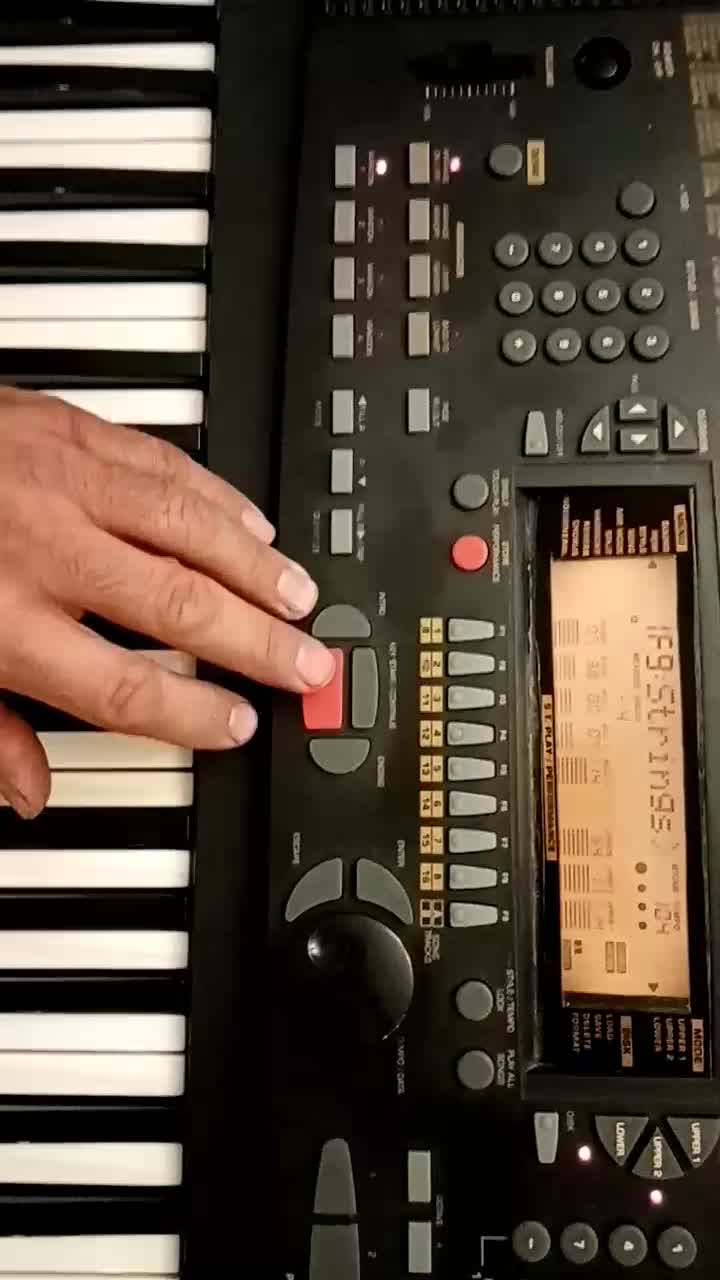 جی ام pk7|پیانو، کیبورد، آکاردئون|شیراز, غدیر شمالی|دیوار