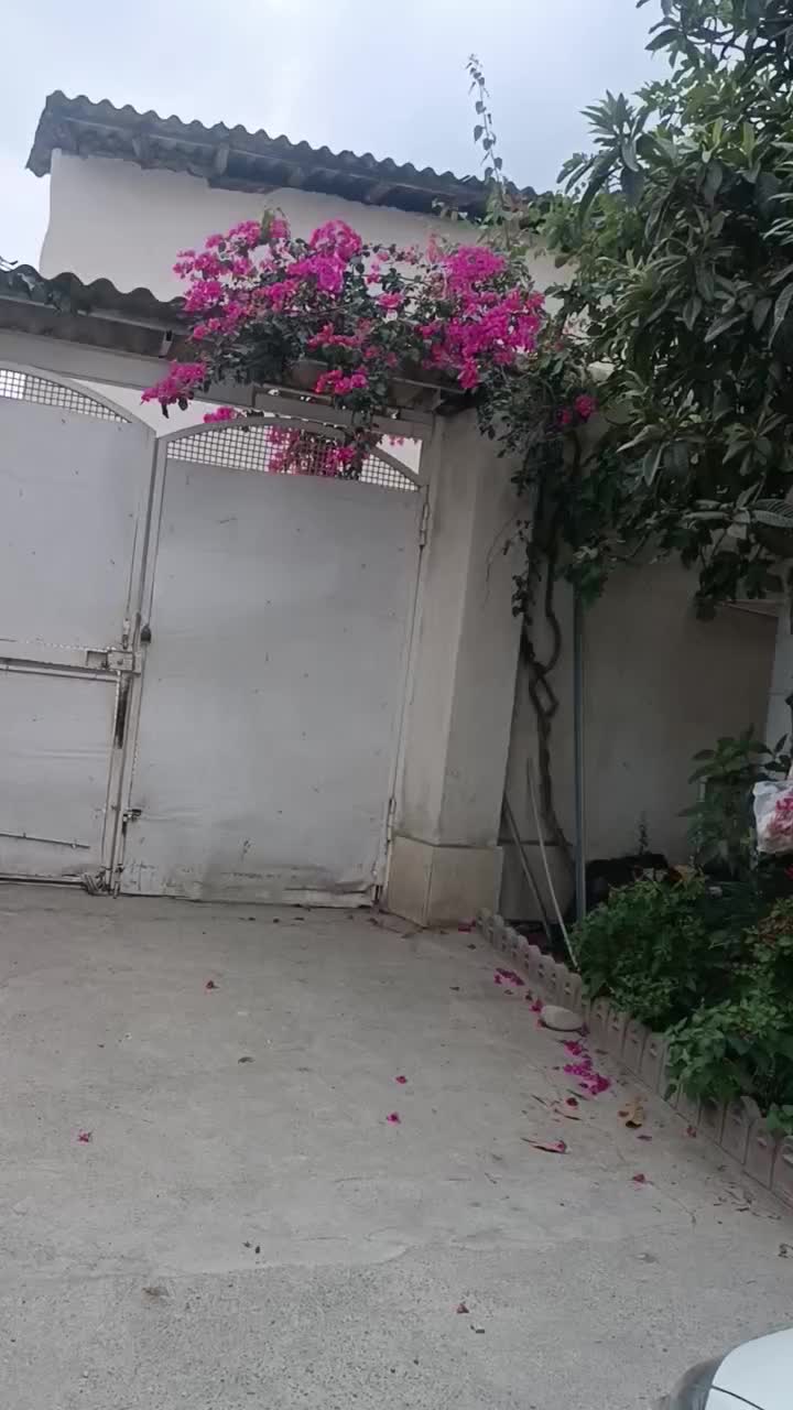 براصلی نهار خوران فقط خانواده|اجارهٔ کوتاه‌مدت آپارتمان و سوئیت|گرگان, |دیوار