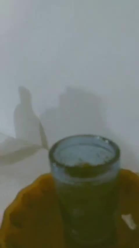 اجاره خانه و ویلا|اجارهٔ خانه و ویلا|طرقبه, |دیوار