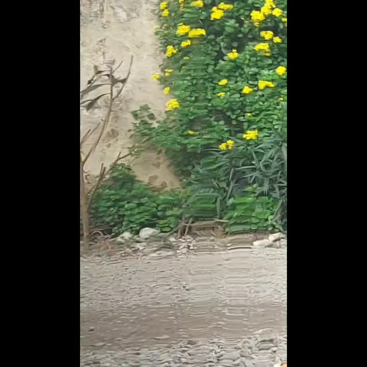 پولیش واکس با کمترین قیمت|خدمات موتور و ماشین|رشت, معلولین|دیوار