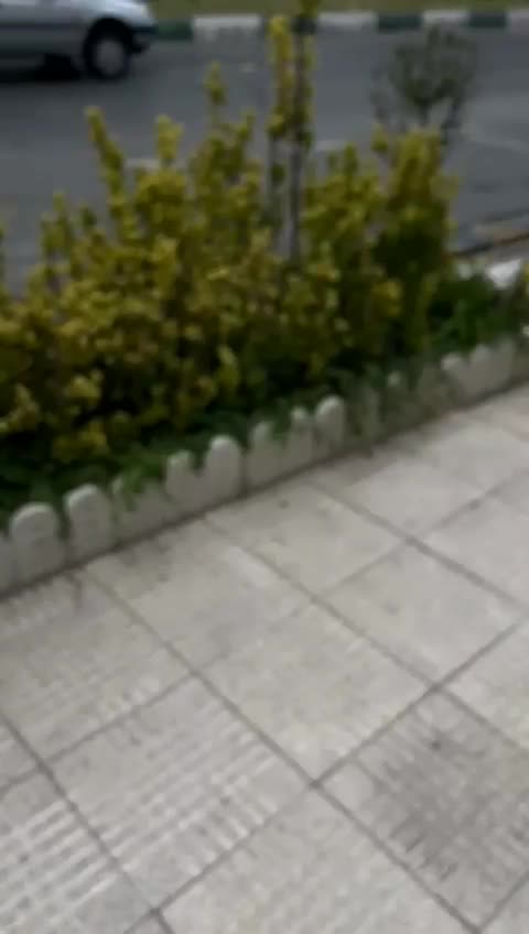 تسبیح زارا|کلکسیون اشیاء عتیقه|مشگین شهر, |دیوار