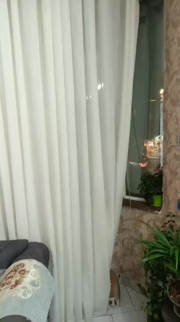 صارمی۵۲نقشه۴گل/تراس سنددارموقعیت مکانی اعیونی|فروش آپارتمان|مشهد, هفت تیر (حافظ)|دیوار