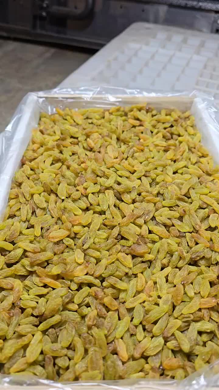 کشمش|عمده‌فروشی|شیراز, شهرک مهدیه|دیوار