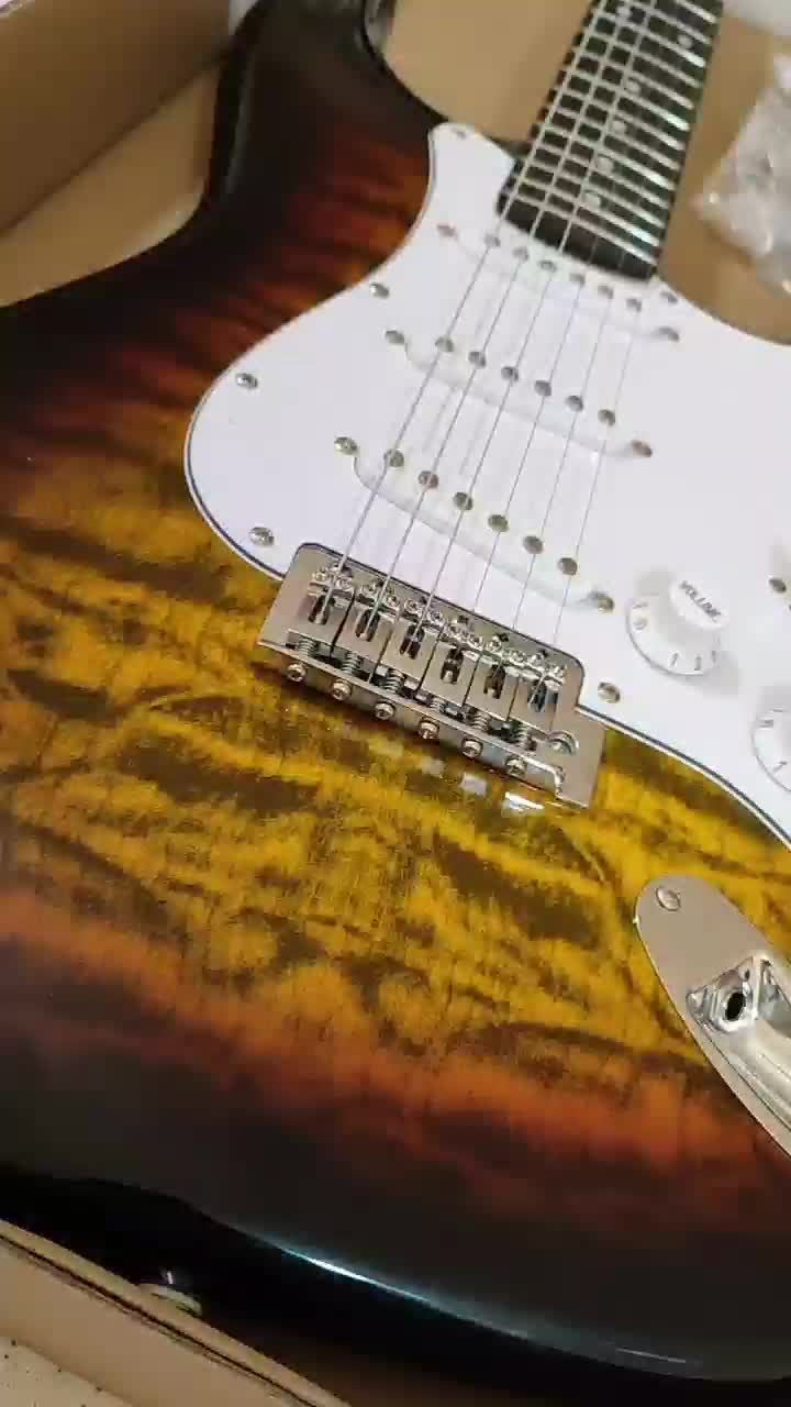 گیتار الکتریک، ترکیبی از کیفیت و قیمت|گیتار، بیس، امپلیفایر|صدرا-فارس, فاز ۱|دیوار