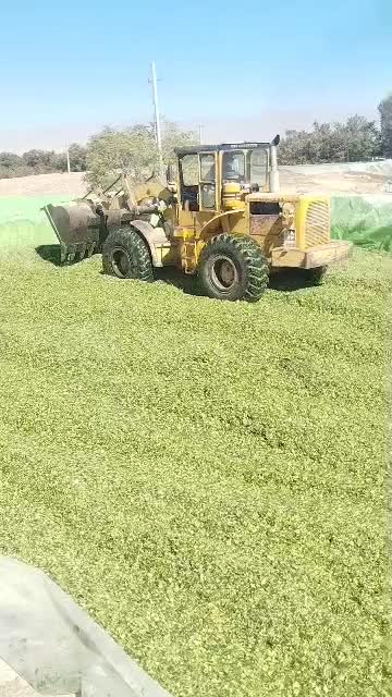 اجاره لودر و کمپرسی|خدمات حمل و نقل|کرج, کمالشهر|دیوار