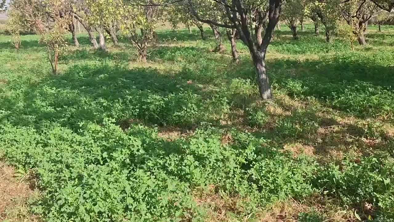 باغ در کنار رود ارس روستای  مارازاد|فروش زمین و ملک کلنگی|جلفا, |دیوار