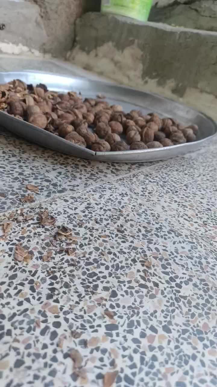 گردو محلی درجه یک کاغذی|خوردنی و آشامیدنی|کلاترزان, |دیوار