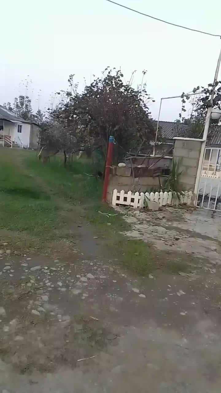 فروش زمین و خونه کلنگی|فروش زمین و ملک کلنگی|پره‌سر, |دیوار