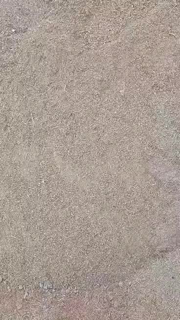 تفاله کشمش|لوازم جانبی حیوانات|ارومیه, |دیوار