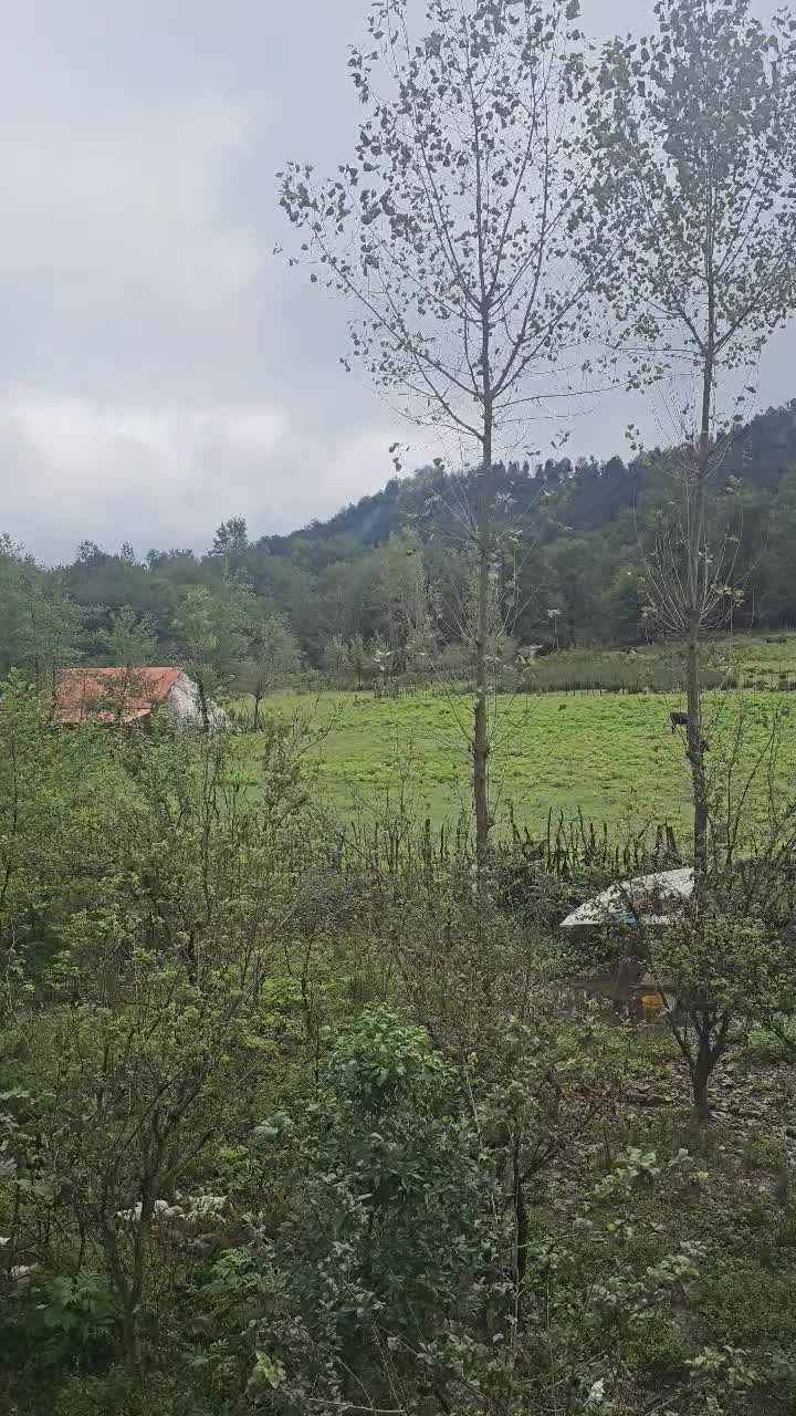 فروش نازویلا ۲۲۰متری/دوبلکس/دل جنگل دو قدمی دریاچه|فروش خانه و ویلا|سیاهکل, |دیوار