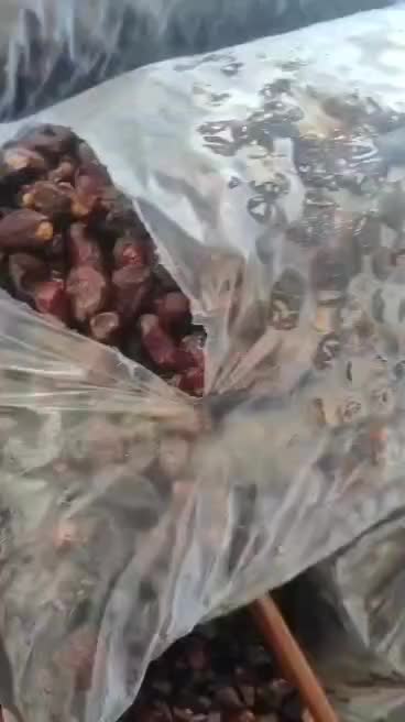 خرماضایعات|عمده‌فروشی|تبریز, |دیوار