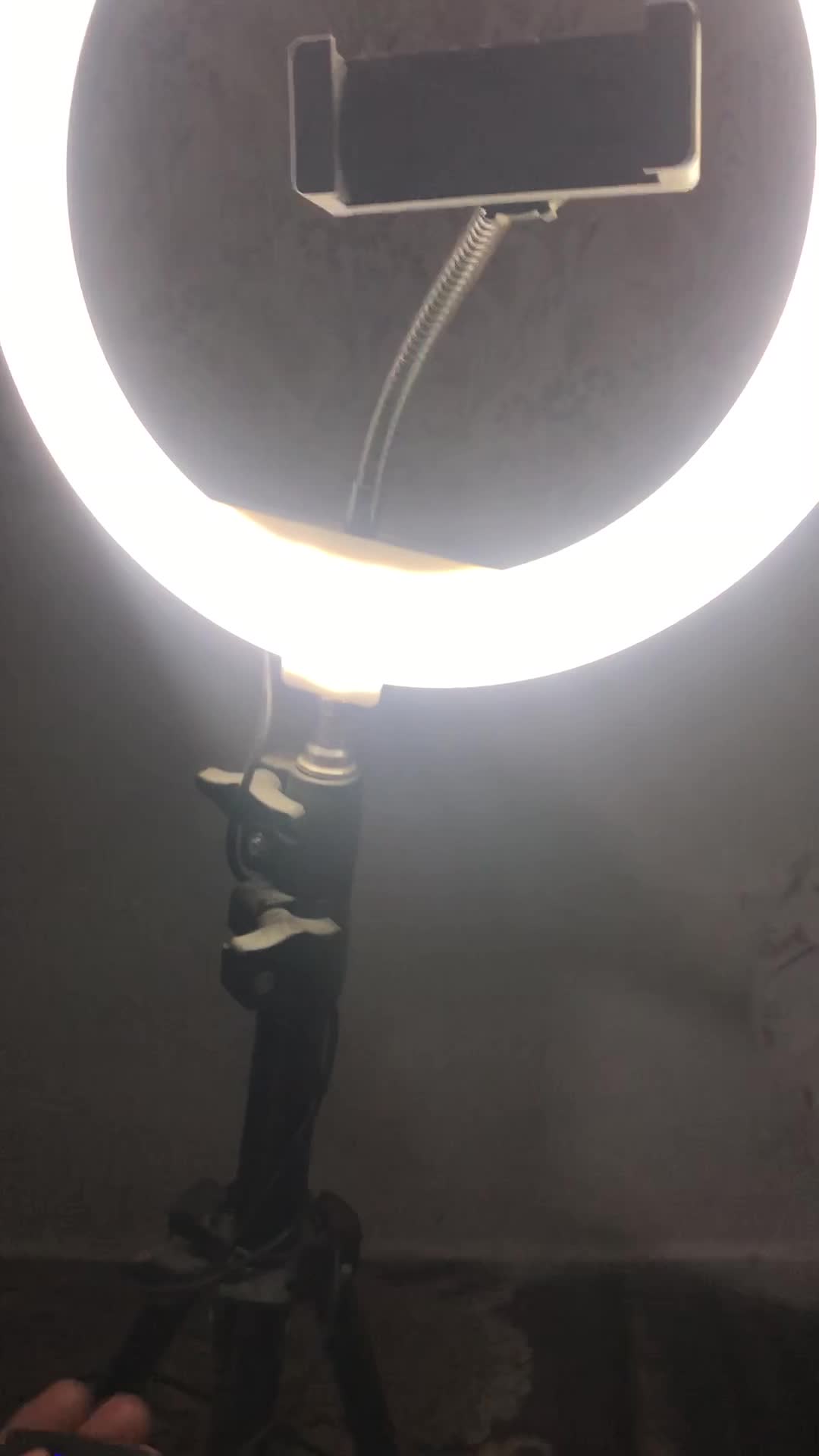 رینگ لایت|دوربین عکاسی و فیلم‌برداری|مشهد, طبرسی شمالی|دیوار