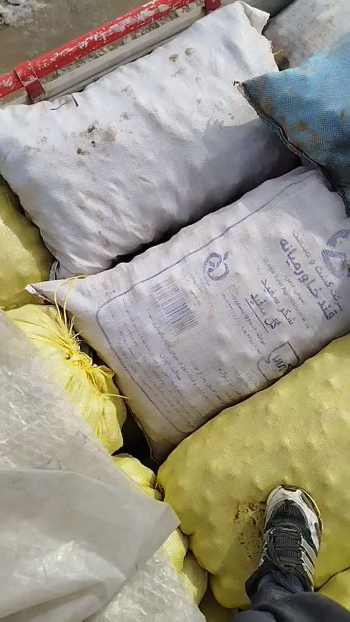 سیب گاوی فندقی دامی|لوازم جانبی حیوانات|قیدار, |دیوار