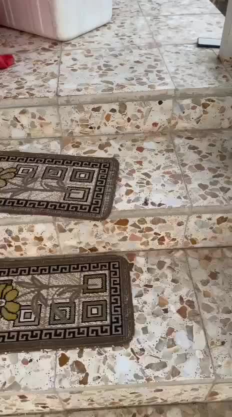 رهن خانه ویلایی آستانه اشرفیه .لاهیجان|اجارهٔ خانه و ویلا|آستانه اشرفیه, |دیوار