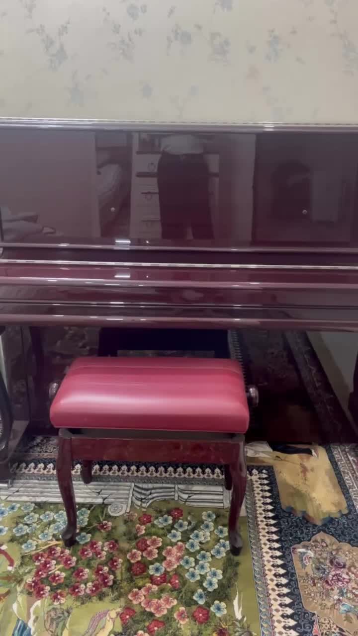 پیانو فروشی|پیانو، کیبورد، آکاردئون|مشهد, استاد یوسفی (شهرک غرب)|دیوار