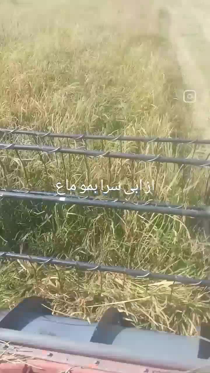 لوازم کمباین برنج آماده به کار شاسی بلند به شرط|عمده‌فروشی|لولمان, |دیوار