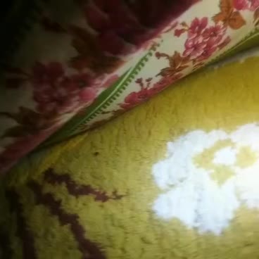 سمپاشی خانه سوسک ساس وسایر حشرات ..|خدمات نظافت|پرند, فاز ۳|دیوار