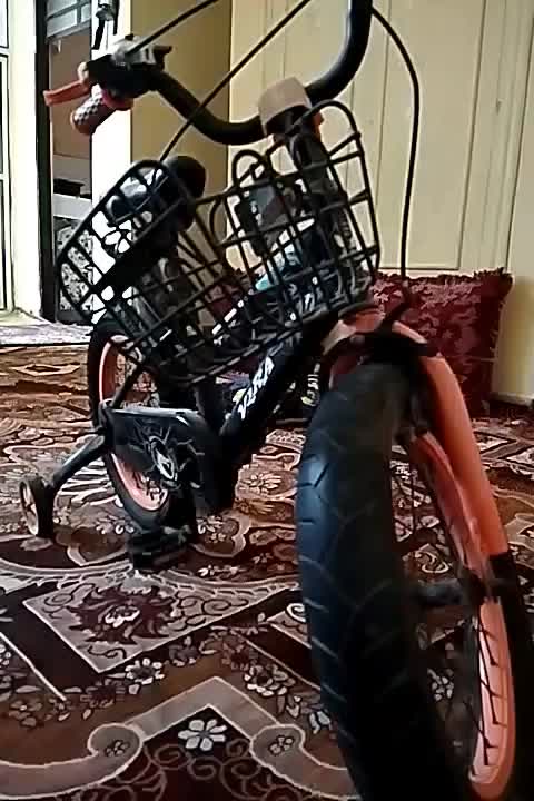 دوچرخه|دوچرخه، اسکیت، اسکوتر|مهران (هرمزگان), |دیوار