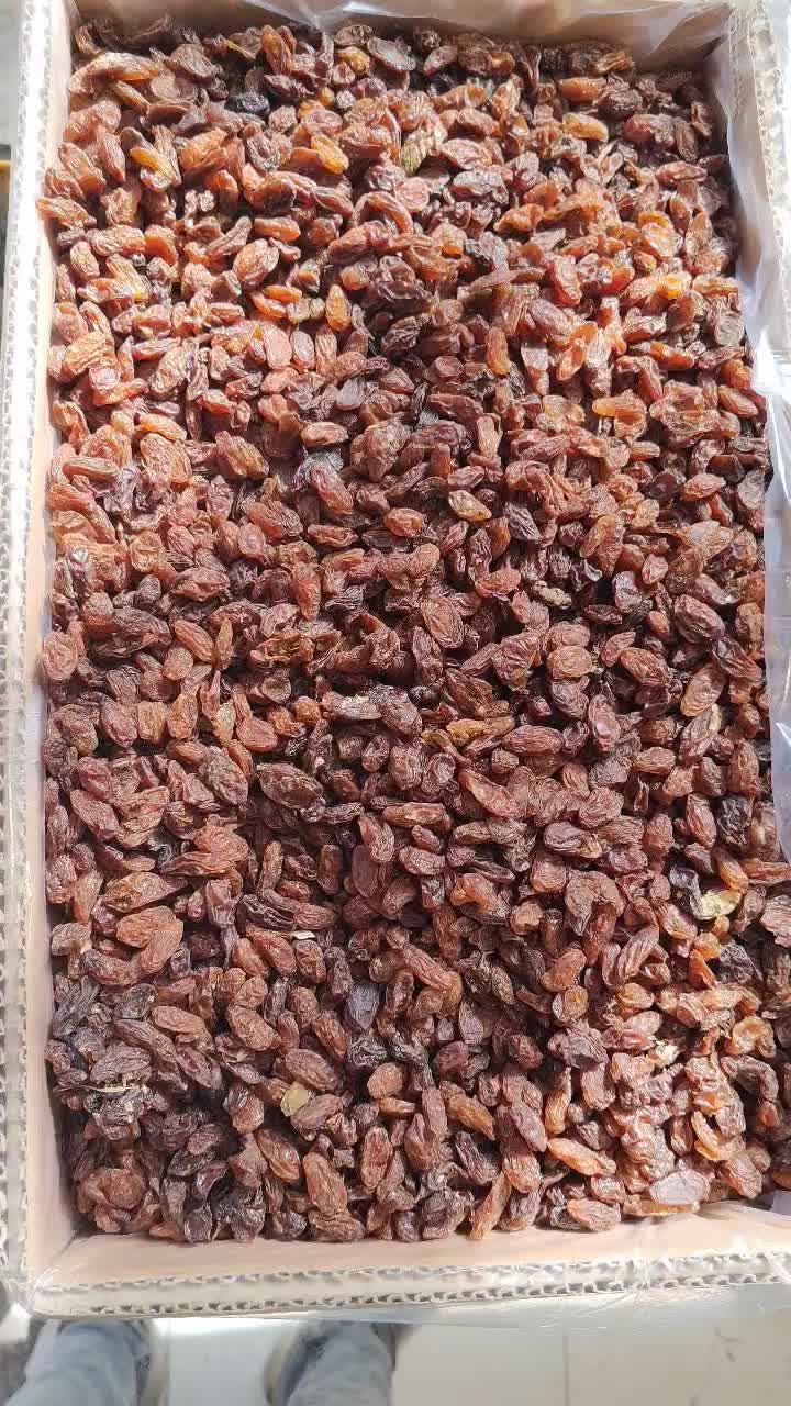 کشمش گله و خرما ضایعات نقد و اقساط|خوردنی و آشامیدنی|مشهد, شهید مطهری|دیوار