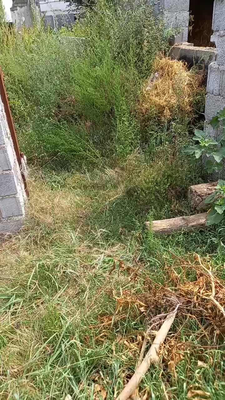 ۲۵۰مترزمین مسکونی باسند همراه با امتیازآب.برق.گاز|فروش زمین و ملک کلنگی|رودسر, |دیوار