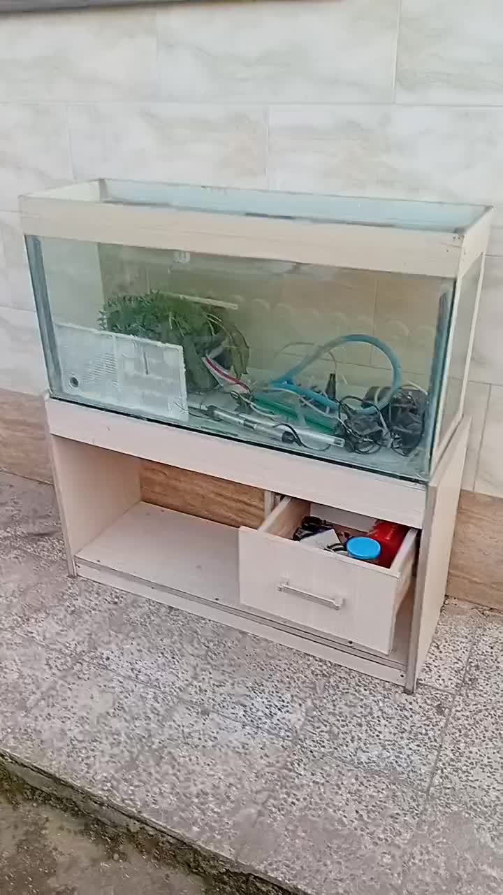 آکواریوم معاوضه|ماهی|آستانه اشرفیه, |دیوار