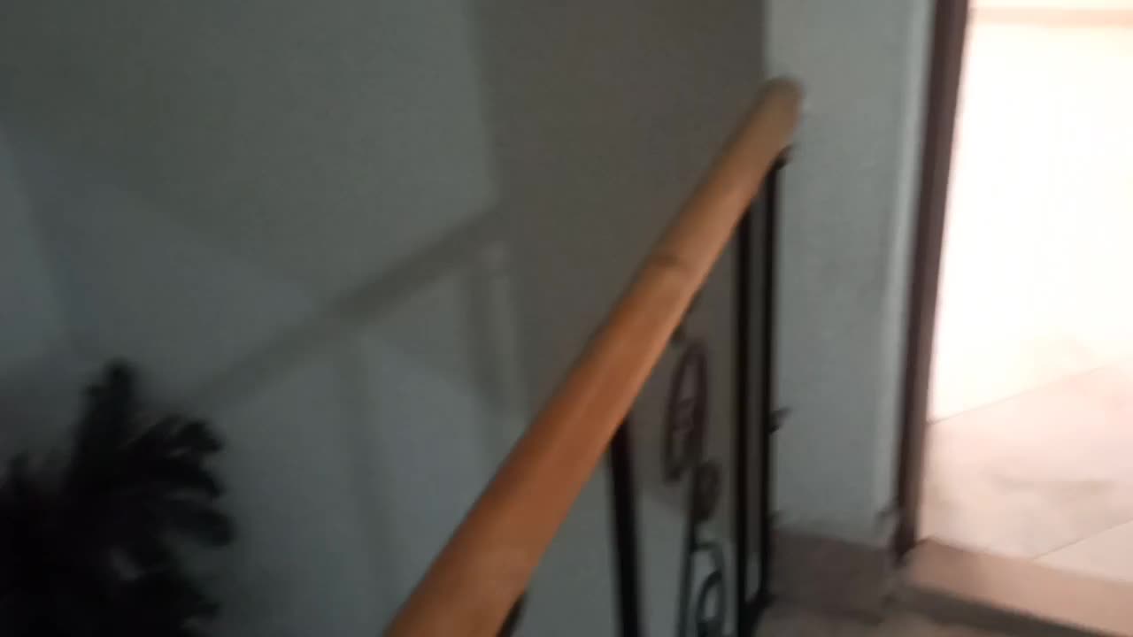 فروش آپارتمان ۵۰ متری ۱ خوابه ابتدای خیابان سام|فروش آپارتمان|رشت, چمارسرا|دیوار