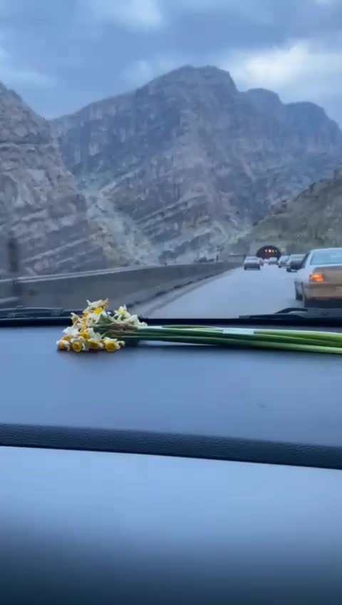 مسافردربست تهران گرگان بابلسرتاکسی آژانس راننده سو|خدمات حمل و نقل|مشهد, شهرک رازی (شهرک غرب)|دیوار