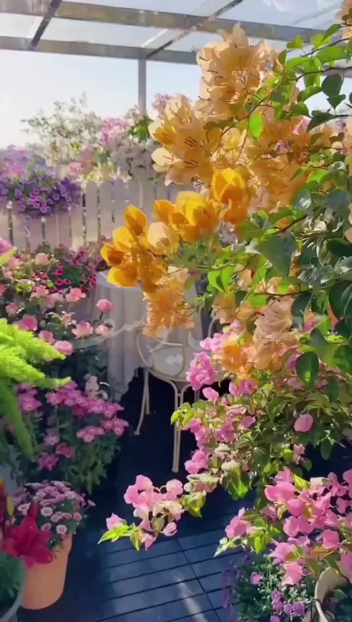 ادمین تولید محتوا و ادیت|خدمات رایانه‌ای و موبایل|فولادشهر, C1|دیوار