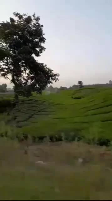 فروش زمین 300متری روستایی درلاهیجان|فروش زمین و ملک کلنگی|رودبنه, |دیوار