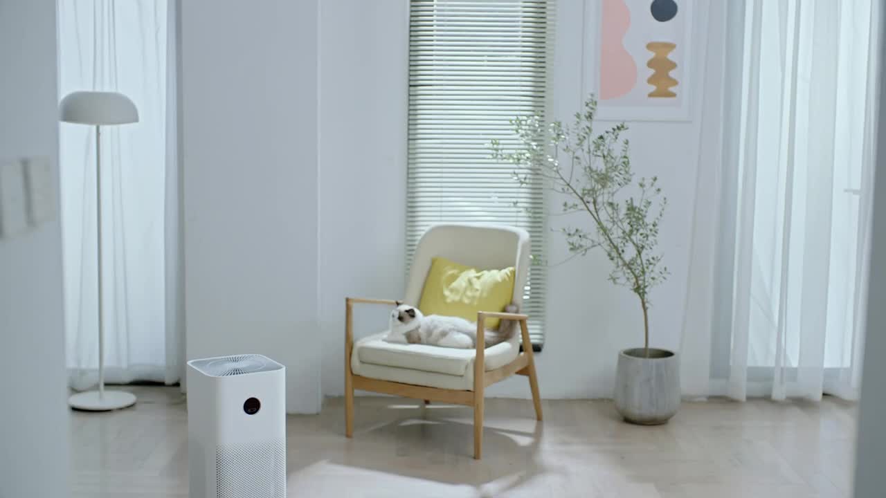تصفیه هوا شیائومی (Smart Air Purifier 4)|پنکه و تصفیه‌کنندهٔ هوا|مشهد, آزادشهر|دیوار