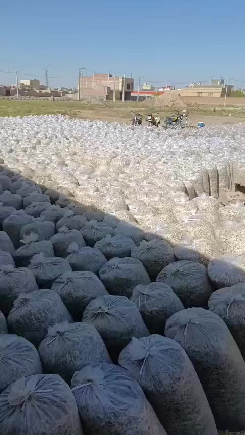 تفاله چغندر تفاله سیب علوفه ذرت|لوازم جانبی حیوانات|سراب, |دیوار