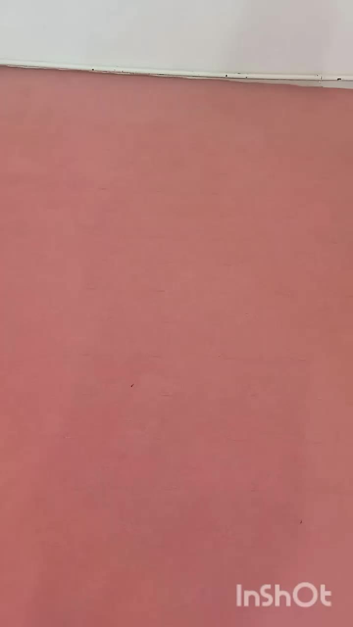 موکت خانه|موکت|خوی, |دیوار