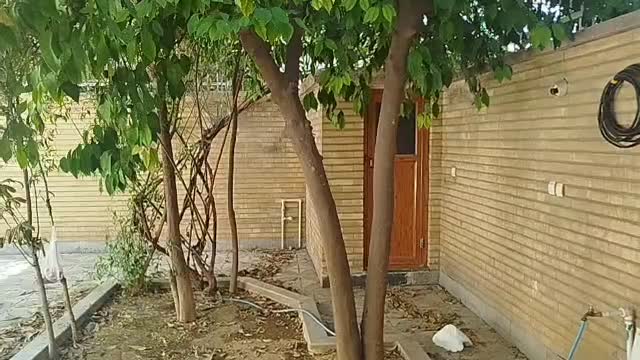 منزل ویلایی ۲۵۰ متری مناسب مشاغل اداری هجرت|اجارهٔ دفتر کار، اتاق اداری، مطب|شیراز, باغ تخت|دیوار