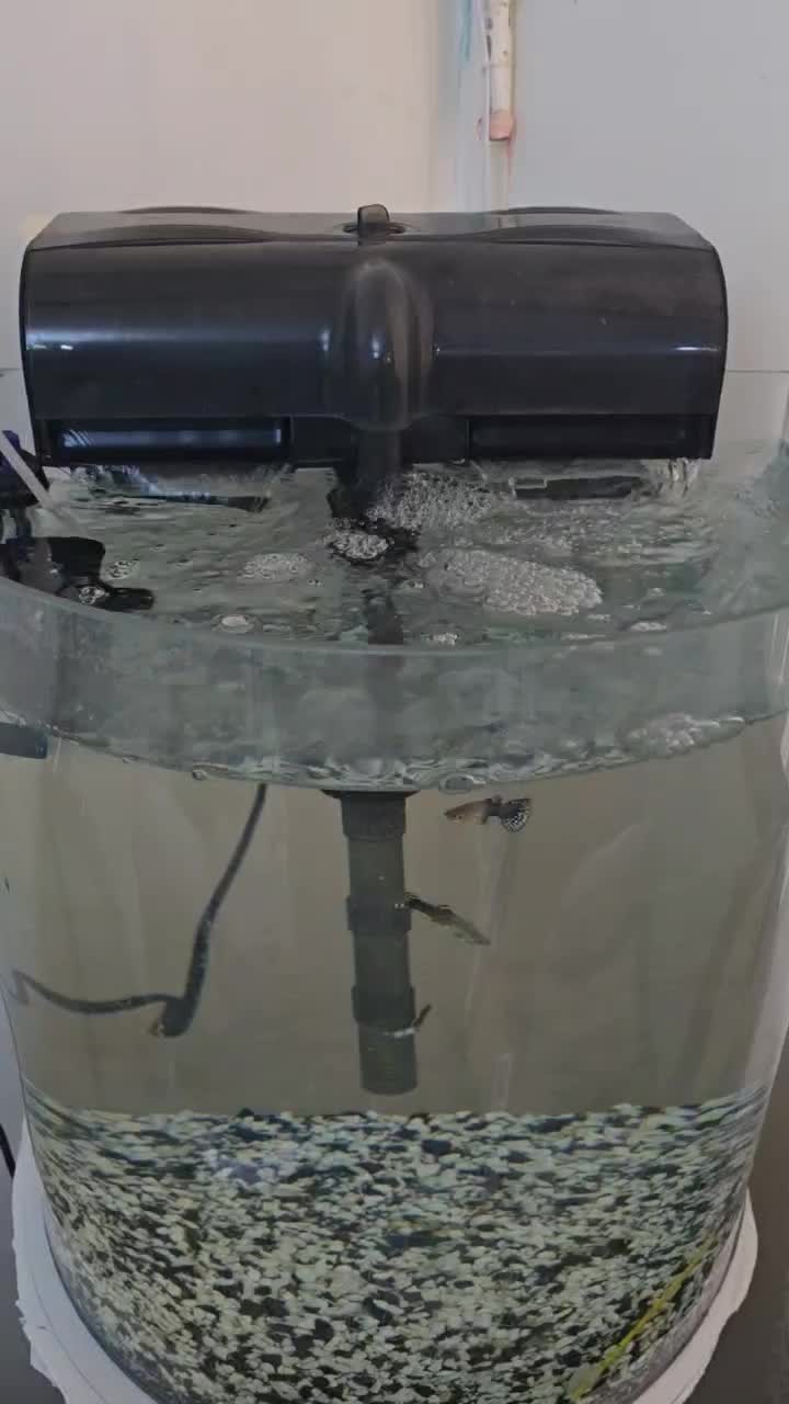 اکواریوم یا وسایل|ماهی|اهواز, ۳۰ متری|دیوار