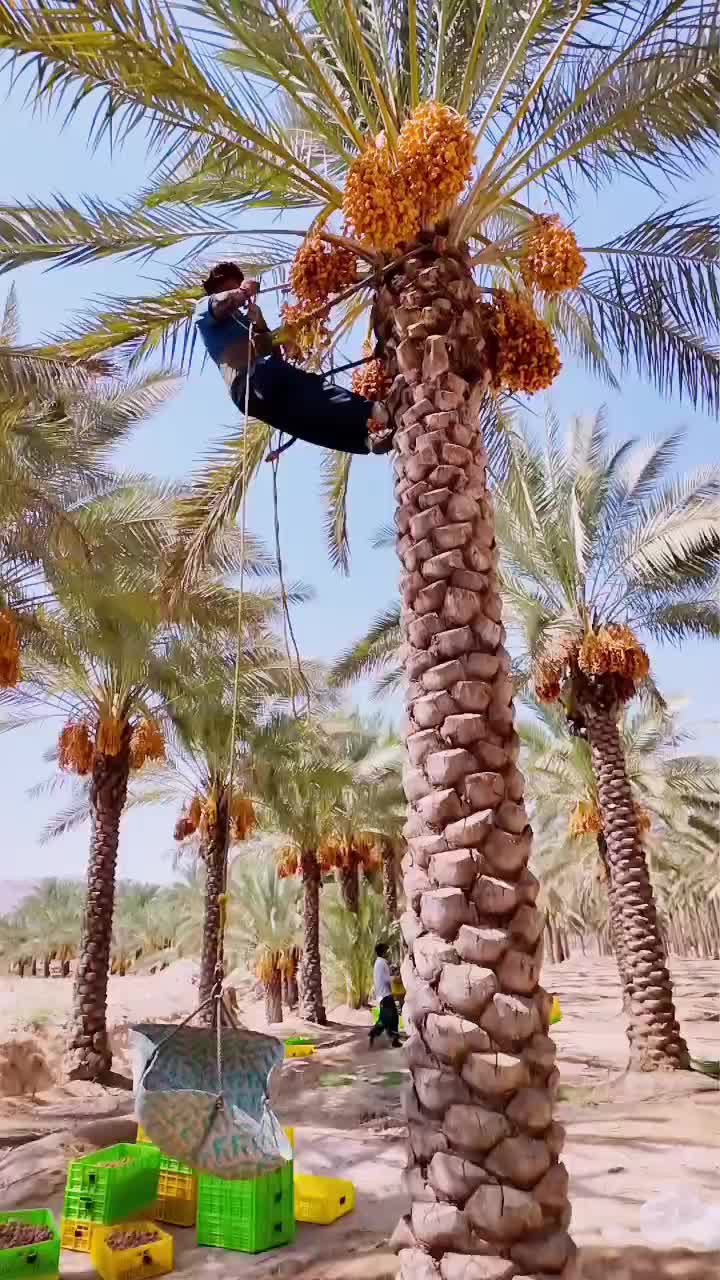 تولید محتوا. مستند سازی.جشن. همایش. دورهمی|خدمات پذیرایی، مراسم|بوشهر, |دیوار