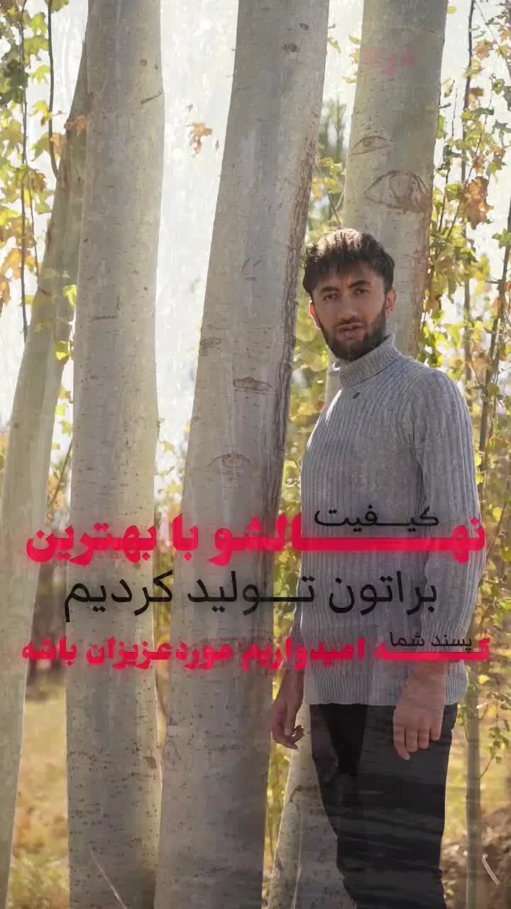 تولید نهال کبوده صنوبر سیاه|خدمات باغبانی و درختکاری|باروق, |دیوار