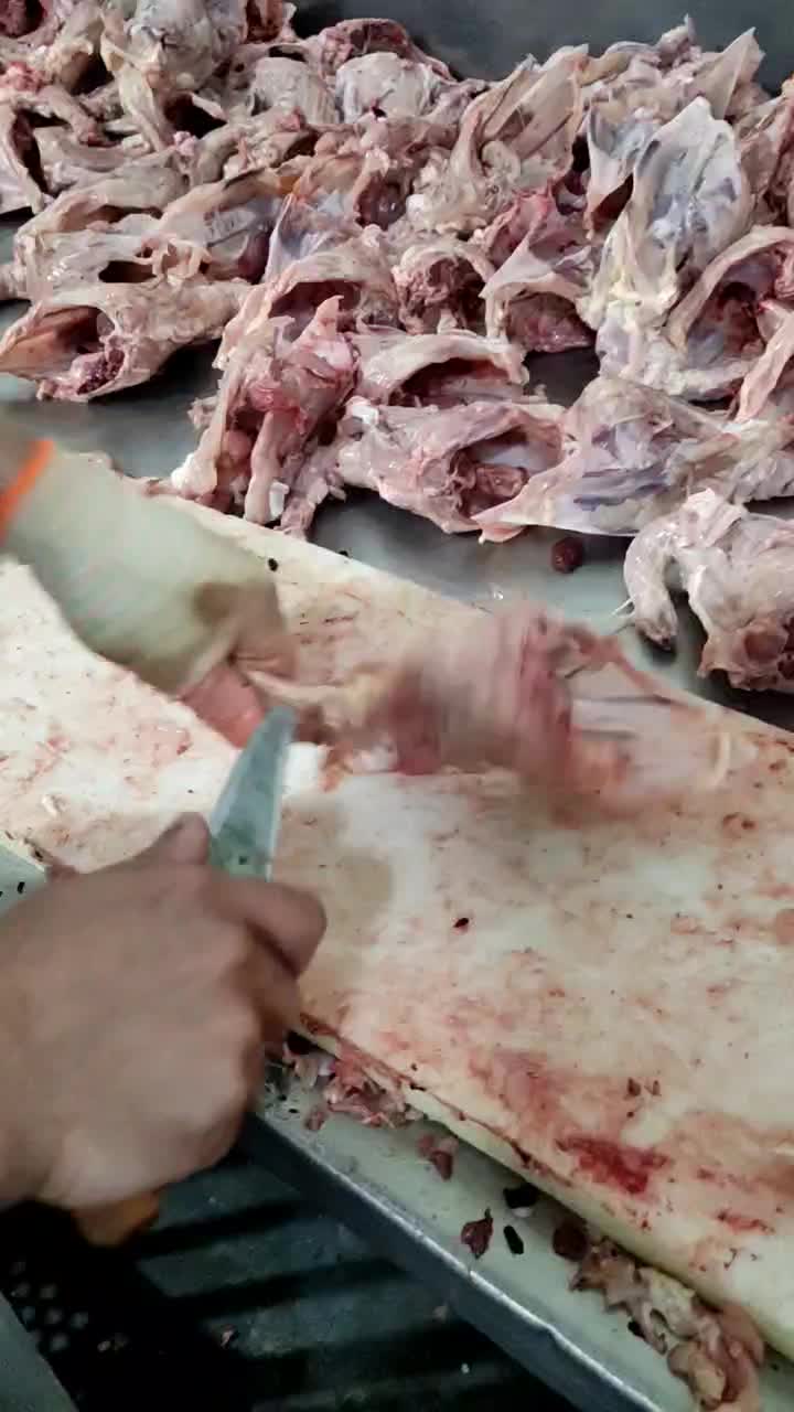 به تعدادی نیروی خانم جهت همکاری در کشتارگاه مرغ|استخدام صنعتی، فنی، مهندسی|تیران, |دیوار
