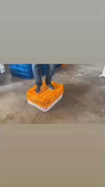 سبد مرغ|ظروف نگهدارنده، پلاستیکی، یک‌بارمصرف|شاهرود, |دیوار