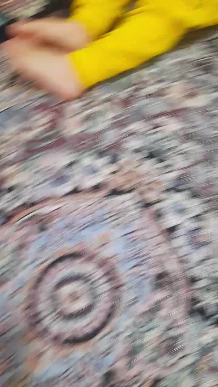 بچه خوکچه|موش و خرگوش|فومن, |دیوار