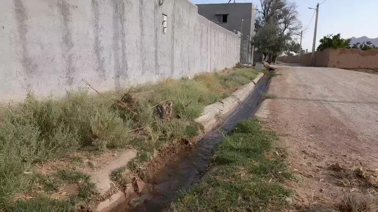 کارگاه،دامداری،قارچ،باغ،انبار|فروش دفتر صنعتی، کشاورزی، تجاری|شهرضا, |دیوار