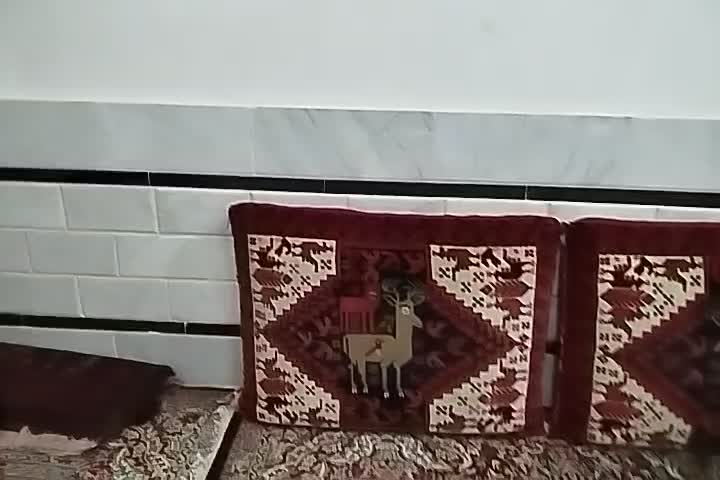 دوجفت پشتی|پشتی|تربت‌حیدریه, قائم|دیوار