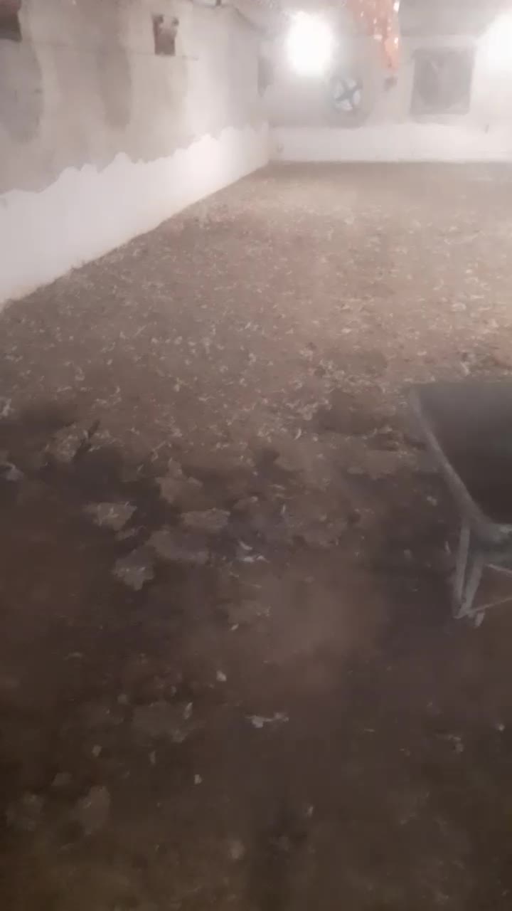 کود‌مرغی‌۱۰۰درصد‌خابص|خدمات باغبانی و درختکاری|ارومیه, |دیوار